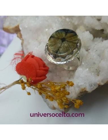 Anillo artesano con ondas y Quiastolita ONS