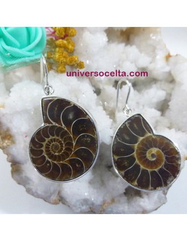 Pendientes de plata con Ammonite