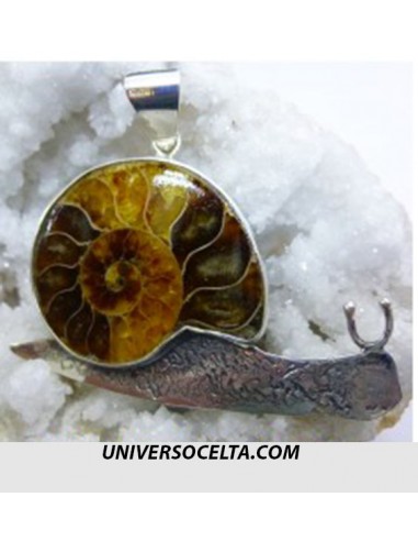 Ammonite con Plata. Diseño de Caracol