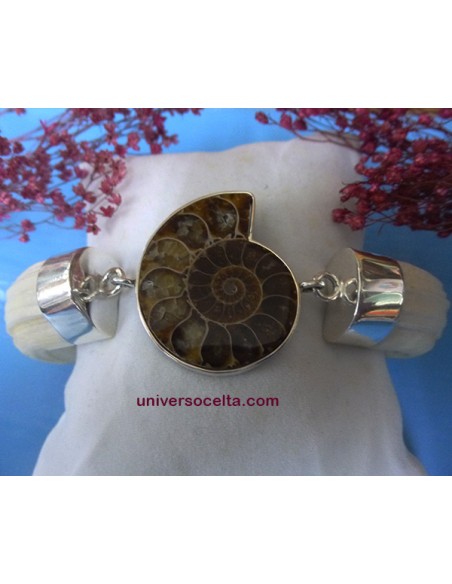 Brazalete artesano con colmillos y Ammonite ABR